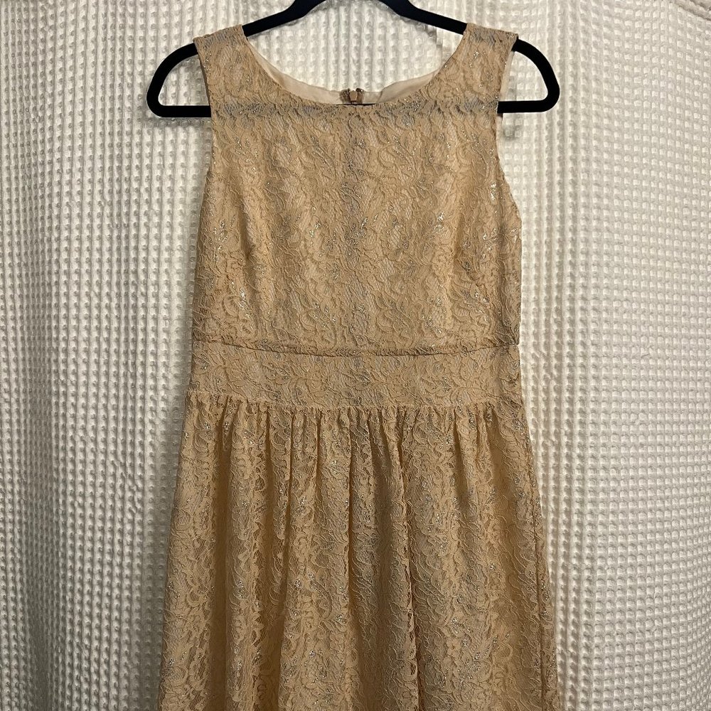 LOFT Cream & Shimmery Lace Dress - Small